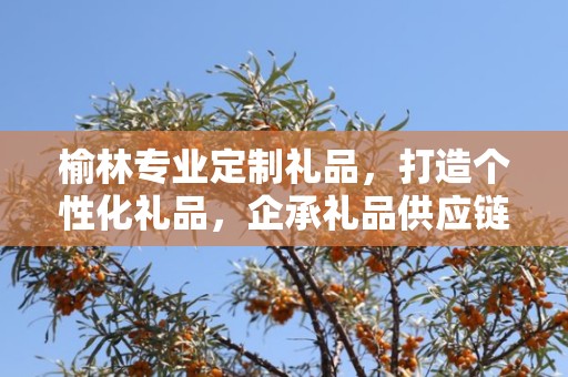 榆林专业定制礼品，打造个性化礼品，企承礼品供应链引领行业新风尚