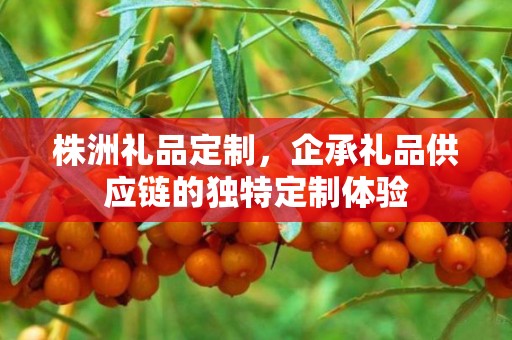 株洲礼品定制，企承礼品供应链的独特定制体验