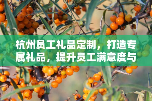 杭州员工礼品定制，打造专属礼品，提升员工满意度与归属感